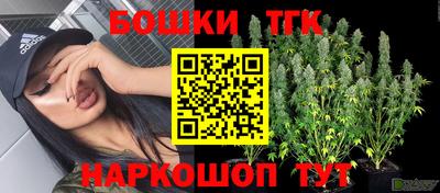 дмт Будённовск