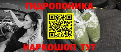 дмт Будённовск