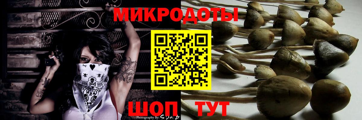 Галлюциногенные грибы Psilocybine cubensis  Вход с VPN  Псилоцибиновые грибы ЛСД  Бор 